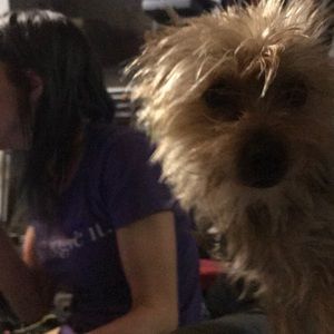 Meet your Posher, John